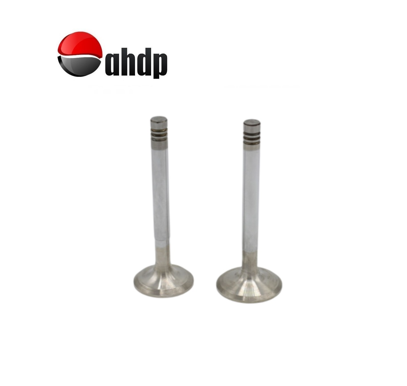 ENGINE VALVE SET IN+EX HATZ - HZ0103765900, HZ0103019910